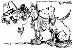 Apr 26, 2003